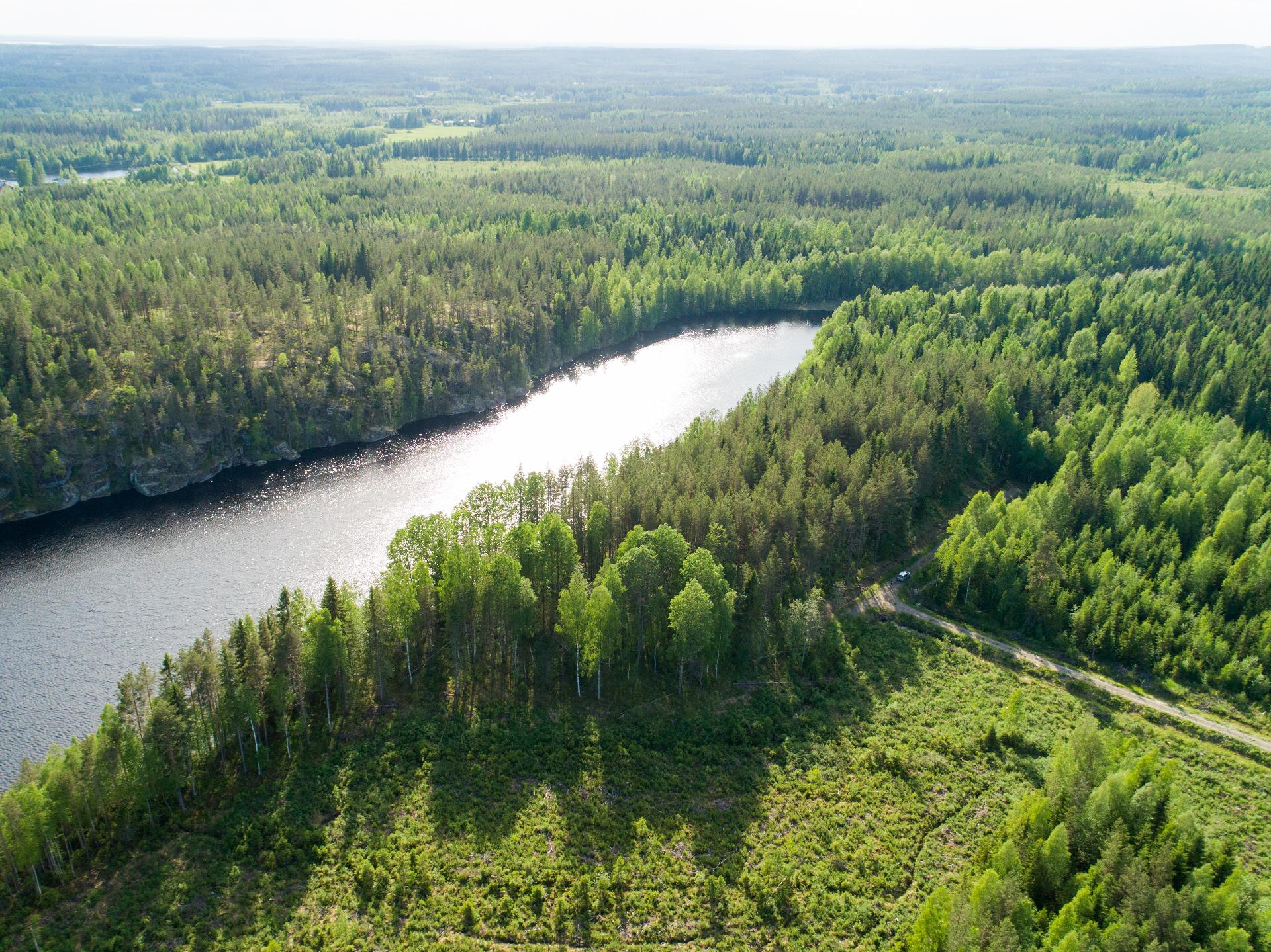 Rauskajärvi tontti 256, Viitasaari