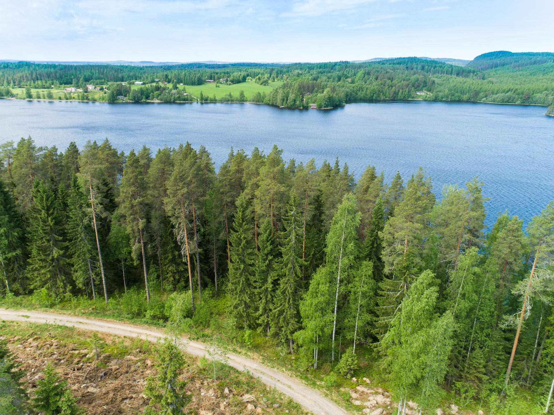 Kiminkijärvi tontti 4, Suovanlahti, Viitasaari