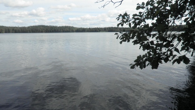 Visatie, Savonkaita -järvi, Ruokolahti Kemppilä Karpalo R:no 3:23 -, Kemppilä, Ruokolahti