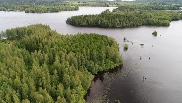 Sölvenkatu 3, Kosulanniemi, Varkaus