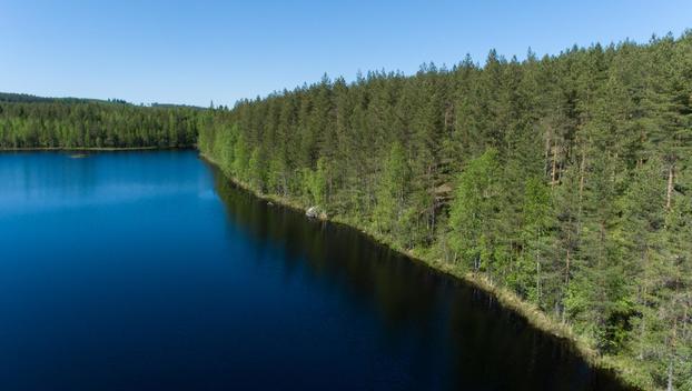 Pieni Niinijärvi tontti 2, undefinedUurainen