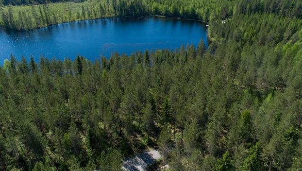 Rajajärvi tontti 2, undefinedUurainen