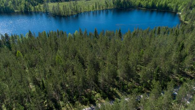 Rajajärvi tontti 3, undefinedUurainen