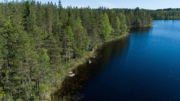 Rajajärvi tontti 4, undefinedUurainen