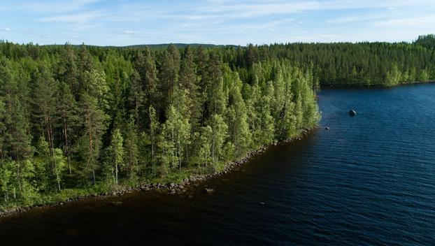 Uittosalmentie Tontti 2, Piilola, Äänekoski