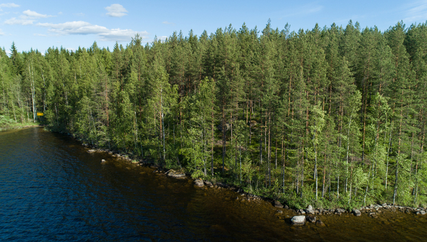 Uittosalmentie Tontti 4, Piilola, Äänekoski