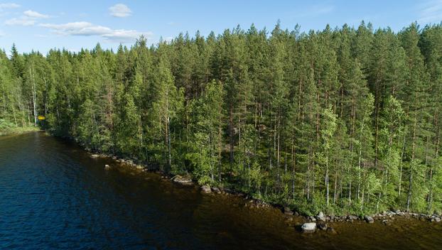 Uittosalmentie Tontti 4, Piilola, Äänekoski