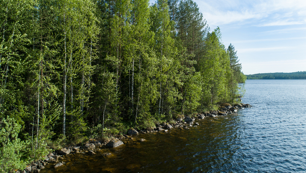 Uittosalmentie Tontti 7, Piilola, Äänekoski