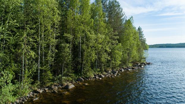 Uittosalmentie Tontti 7, Piilola, Äänekoski