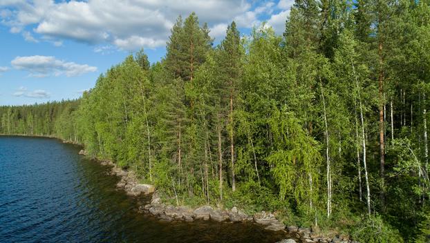 Uittosalmentie Tontti 9, Piilola, Äänekoski