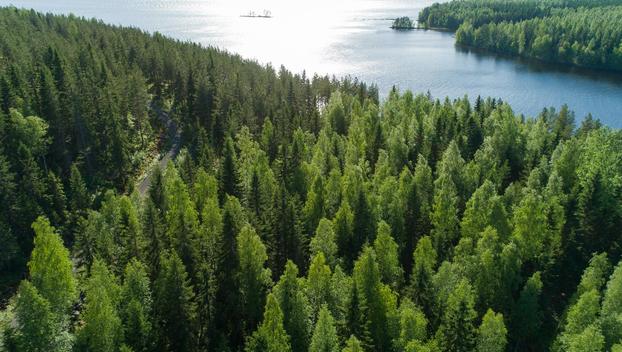 Uittosalmentie Tontti 10, Piilola, Äänekoski
