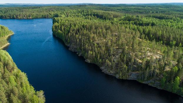 Rauskajärvi tontti 254, undefinedViitasaari