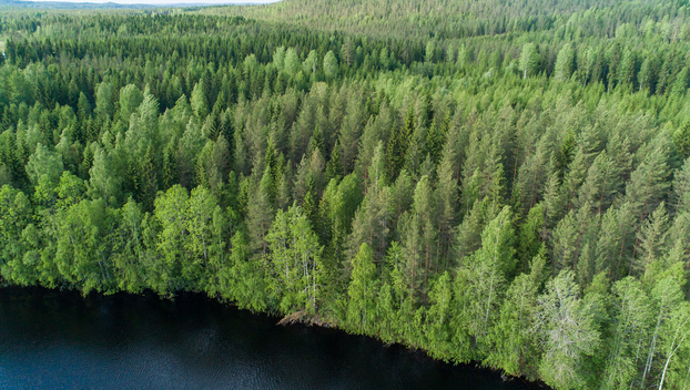 Rauskajärvi tontti 255, undefinedViitasaari