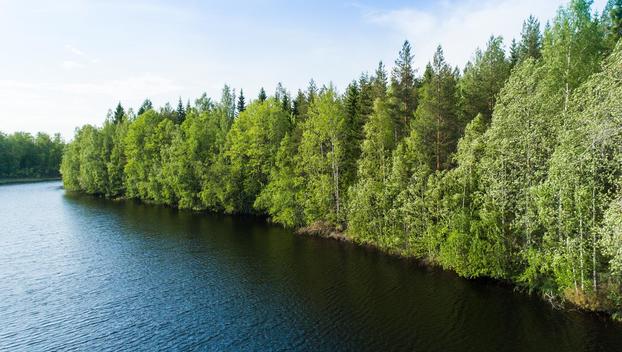 Rauskajärvi tontti 256, undefinedViitasaari
