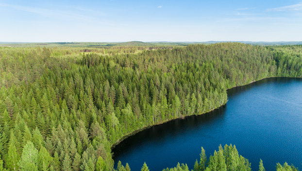 Rauskajärvi tontti 257, undefinedViitasaari