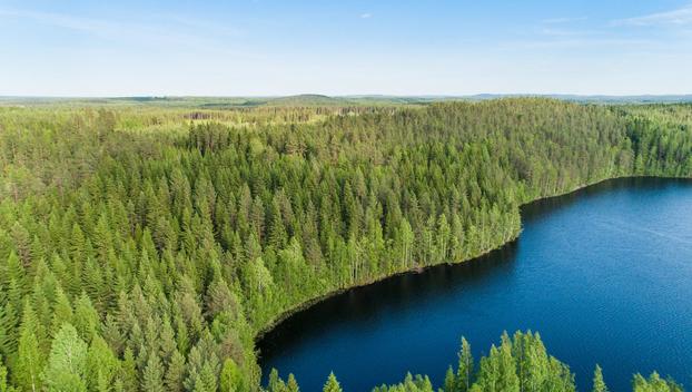 Rauskajärvi tontti 257, undefinedViitasaari