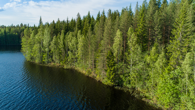 Rauskajärvi tontti 258, undefinedViitasaari