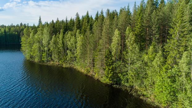 Rauskajärvi tontti 258, undefinedViitasaari