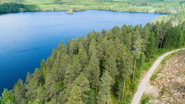 Kiminkijärvi tontti 3, Suovanlahti, Viitasaari