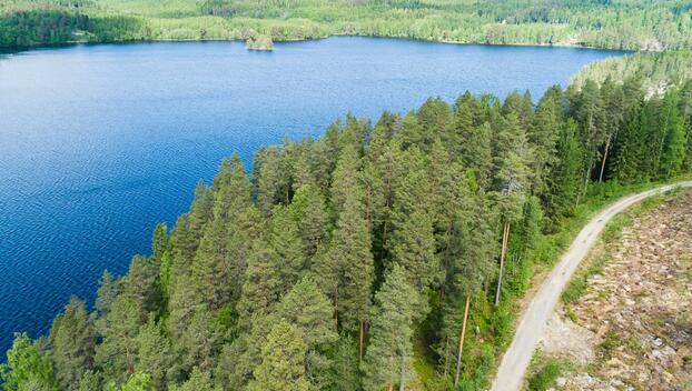 Kiminkijärvi tontti 3, Suovanlahti, Viitasaari