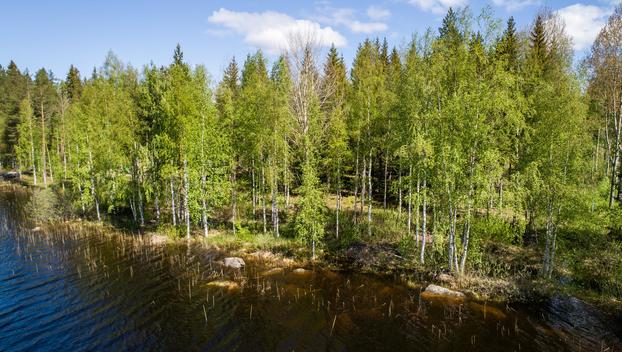 Peiponlahti tontti, Sumiainen, Äänekoski