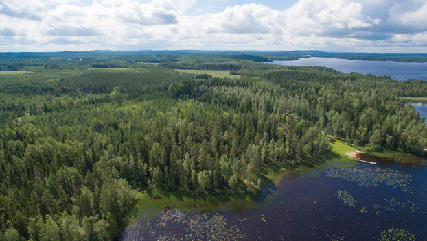 Kivikkosalontie 220, Keuruu, Keuruu