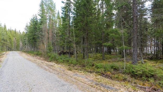 Harmaaniementie 72, Keuruu, Keuruu