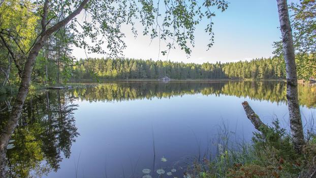 Jakamantie 137, Velaatta, Tampere