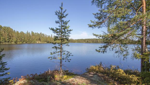 Jakamantie 149, Velaatta, Tampere