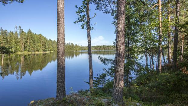 Jakamantie 151, Velaatta, Tampere