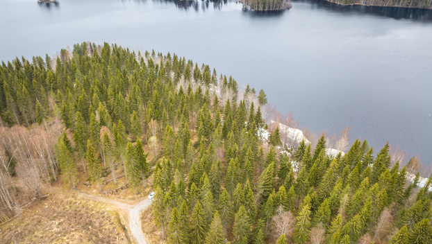 Peltoniementie 244, Kolho, Mänttä-Vilppula
