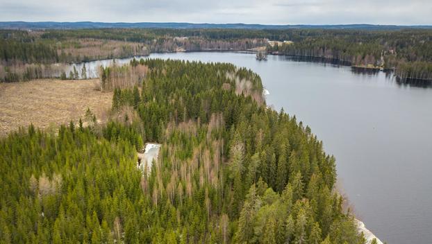 Peltoniementie 244, Kolho, Mänttä-Vilppula