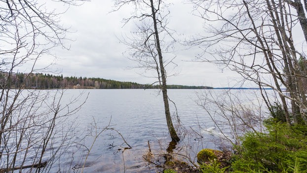 Peltoniementie 248, Kolho, Mänttä-Vilppula