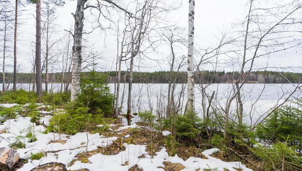 Peltoniementie 248, Kolho, Mänttä-Vilppula