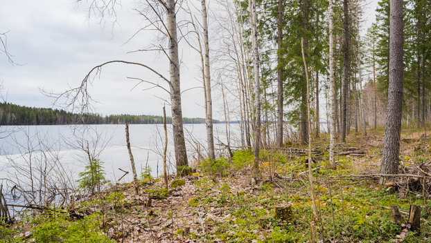 Peltoniementie 250, Kolho, Mänttä-Vilppula