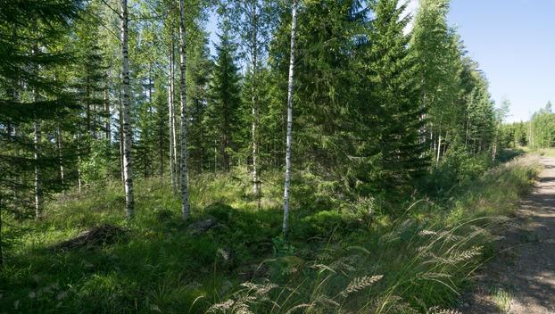 Jusseronsalontie 420, Keuruu, Keuruu