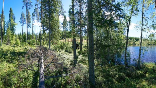 Jusseronsalontie 420, Keuruu, Keuruu