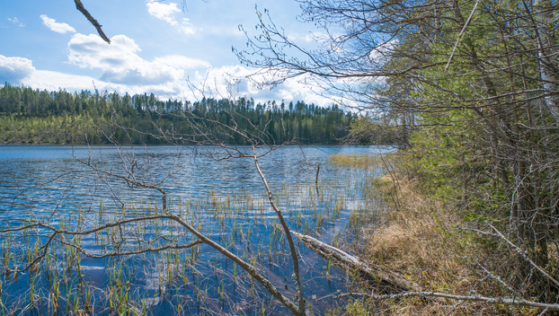 Piilontie 200, Suluslahti, Mänttä-Vilppula