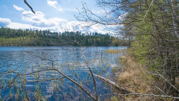Piilontie 200, Suluslahti, Mänttä-Vilppula