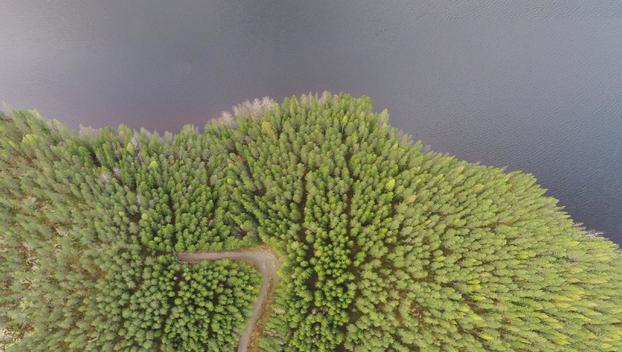 Peltoniementie 200, Kolho, Mänttä-Vilppula