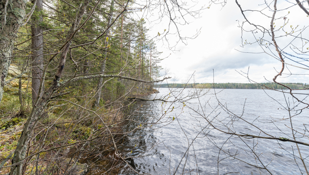 Peltoniementie 208, Kolho, Mänttä-Vilppula