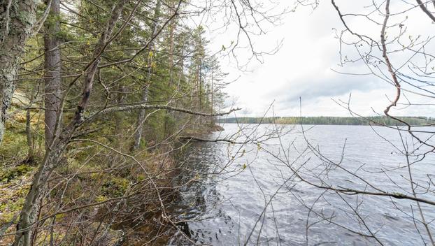 Peltoniementie 208, Kolho, Mänttä-Vilppula