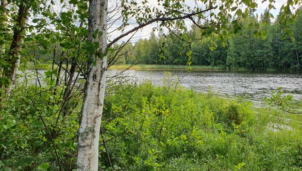 Leinniementie -, Lappeenranta, Lappeenranta
