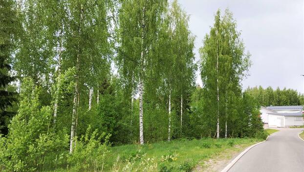 Jyrätie 7, Taipale, Riihimäki