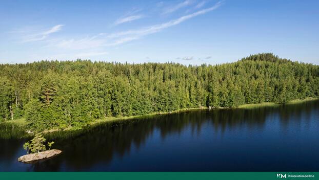 Vuohiniementie 186, undefinedKangasniemi