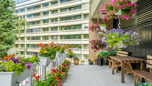 Kotikonnuntie 9, Kontula, Helsinki