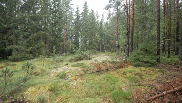 Svartträskintie 68, Tammisaari, Raasepori