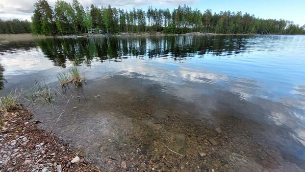 Tervaniementie 0, Kekäleenmäki, Ruokolahti