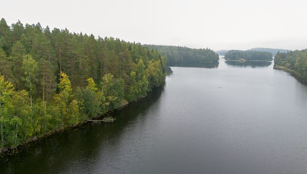 Morttelinkuja 72, Kirkkola, Hartola