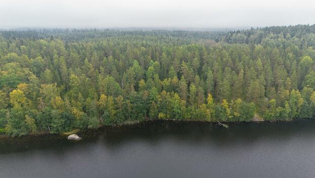 Kauhtueentie 755, Kirkkola, Hartola